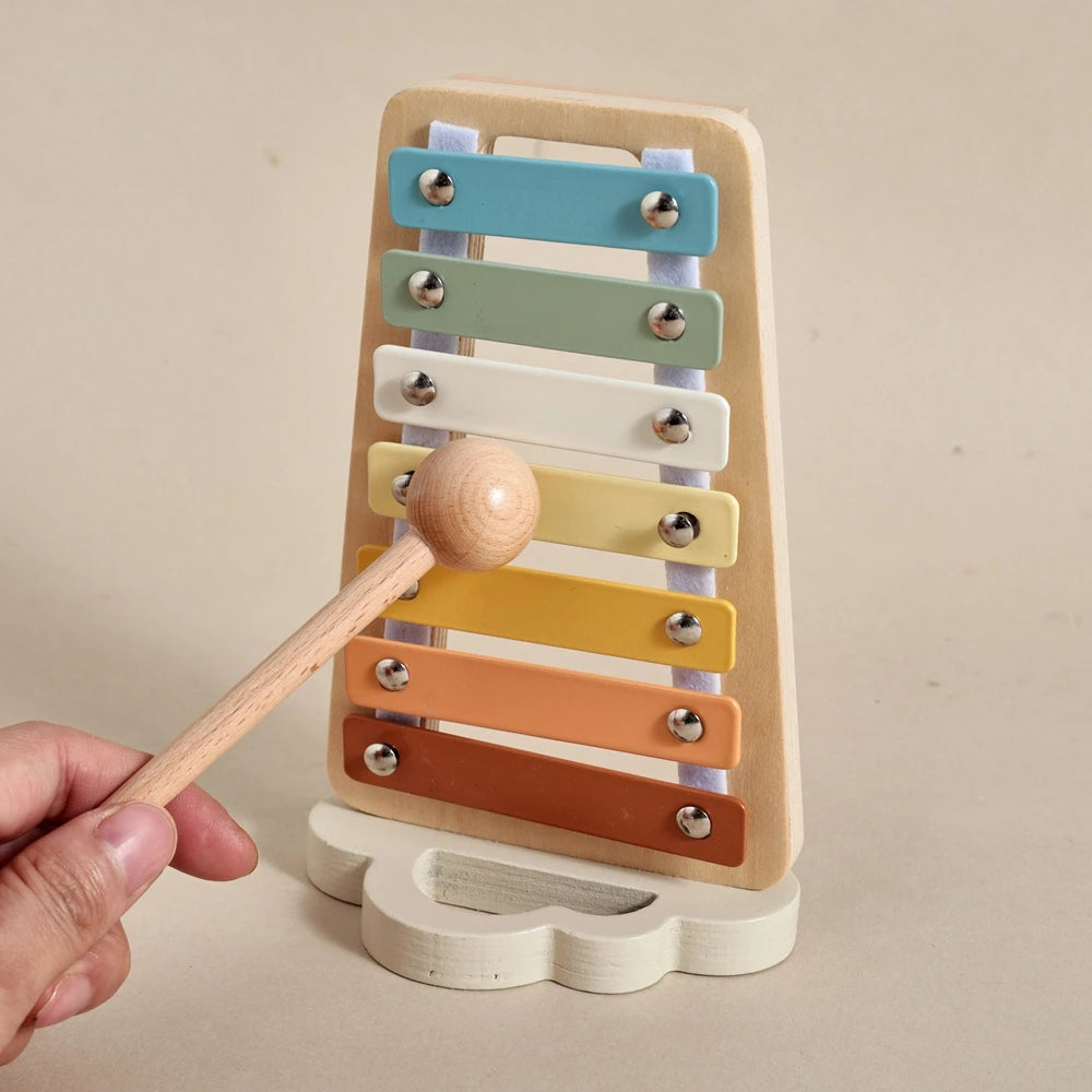 Early Education Musical Instruments