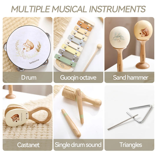 Early Education Musical Instruments